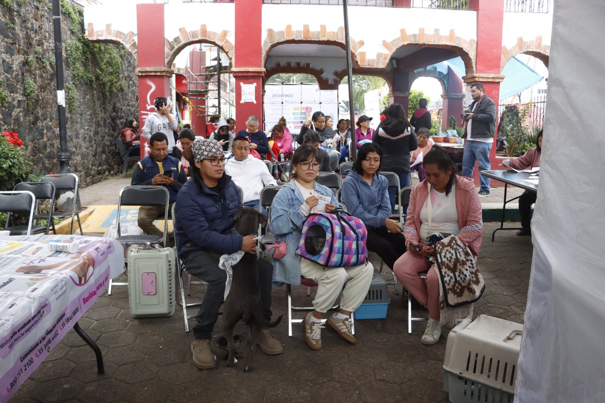 Alc_MA16's tweet photo. ¡Vecinos de San Lorenzo Tlacoyucan, gracias por hacer de la campaña de Esterilización Canina y Felina todo un éxito!😺🐶
Estamos muy agradecidos por trabajar de la mano con la Fundación Haghenback y el Comité Pro Animal, ya que acercan a la población estos servicios. 💚 https://t.co/KjOCHC6uAF