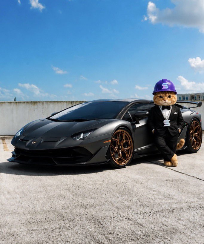 xmattyfn's tweet photo. @CATINVESTsol https://t.co/qchL1QiZEY