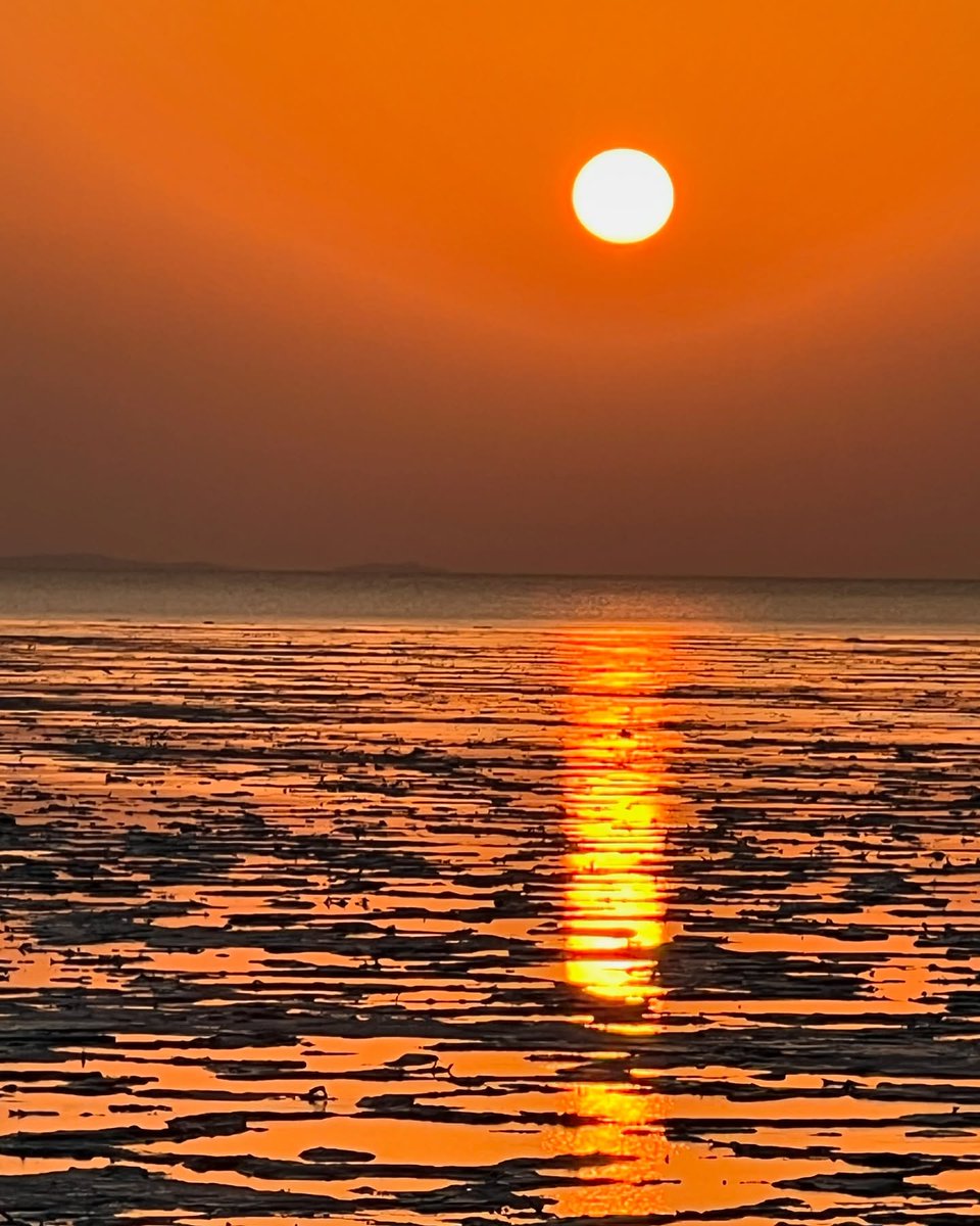 Exoticethiopian's tweet photo. Touch the Edge of the Map: Ethiopiaโs Ultimate Unfiltered Frontier!
https://t.co/3im2BX8Rl3
#VisitEthiopia #LuxuryTravel #FrontierAdventures #BucketListJourneys #FlyInSafari #ExploreTheUnseen #DanakilDepression #OffTheBeatenPath #ExpeditionTravel #Wanderlust https://t.co/945t7ioNFi