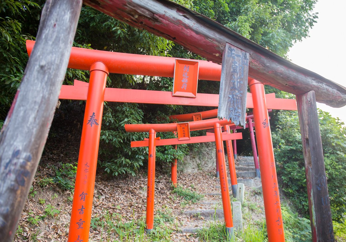yahi904's tweet photo. 朝近稲荷神社(福岡県太宰府市三条)
朝近神社は太宰府市周辺の飯塚市や嘉麻市、田川市などにもあるようです
①鳥居②祠③遠景 https://t.co/HfKdK8rntX