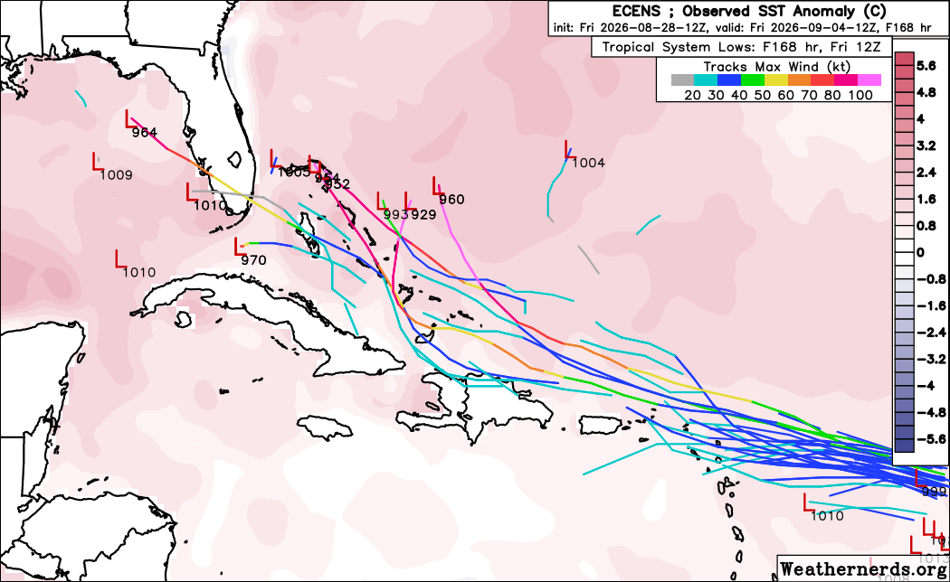 FloridaTropics1's tweet photo. Afternoon ensembles (Euro, Euro AI, GFS, Google Deep Mind). About 20% of the Euro ensemble members still look to re-develop Dolly off the Florida coast. Euro AI and GFS ensembles don't do much. Google Deep Mind is more interested in redevelopment in the Gulf. https://t.co/BkEM3KolKq