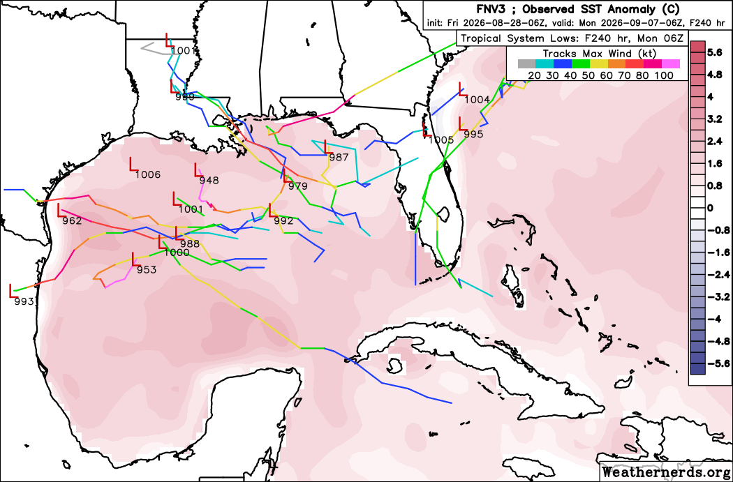 FloridaTropics1's tweet photo. Afternoon ensembles (Euro, Euro AI, GFS, Google Deep Mind). About 20% of the Euro ensemble members still look to re-develop Dolly off the Florida coast. Euro AI and GFS ensembles don't do much. Google Deep Mind is more interested in redevelopment in the Gulf. https://t.co/BkEM3KolKq