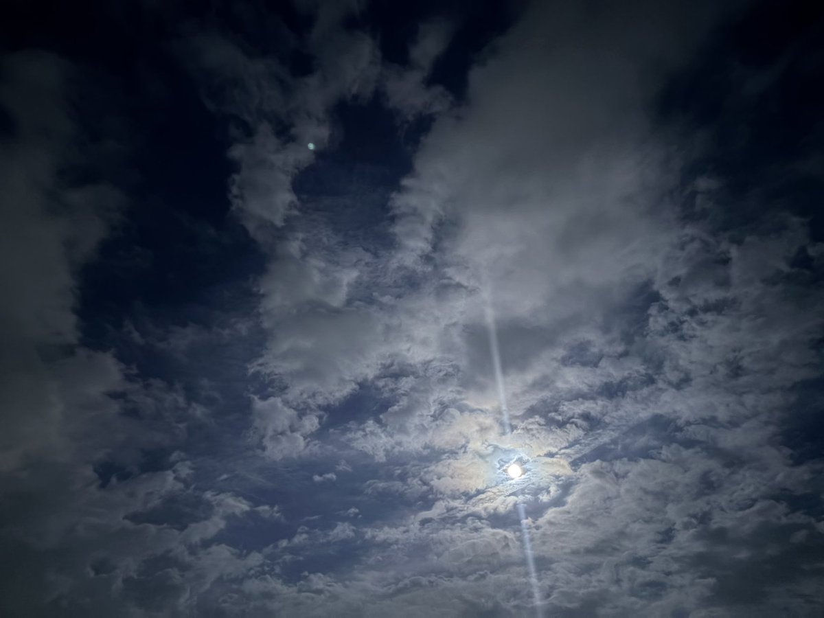 min_cury's tweet photo. 2026.08.28
歩んできた道に背中を押してもらう

1.🌕
見れないかと思ったらちょうどよく

2.積立見直し
基本放置なのだけどNISAと確定拠出年金の運用変更🌱ｽｯｷﾘ

3.糖分摂取
こういう日もあるよね！と、今週もお疲れコメダ

#3goodthings https://t.co/QezLppsHwB