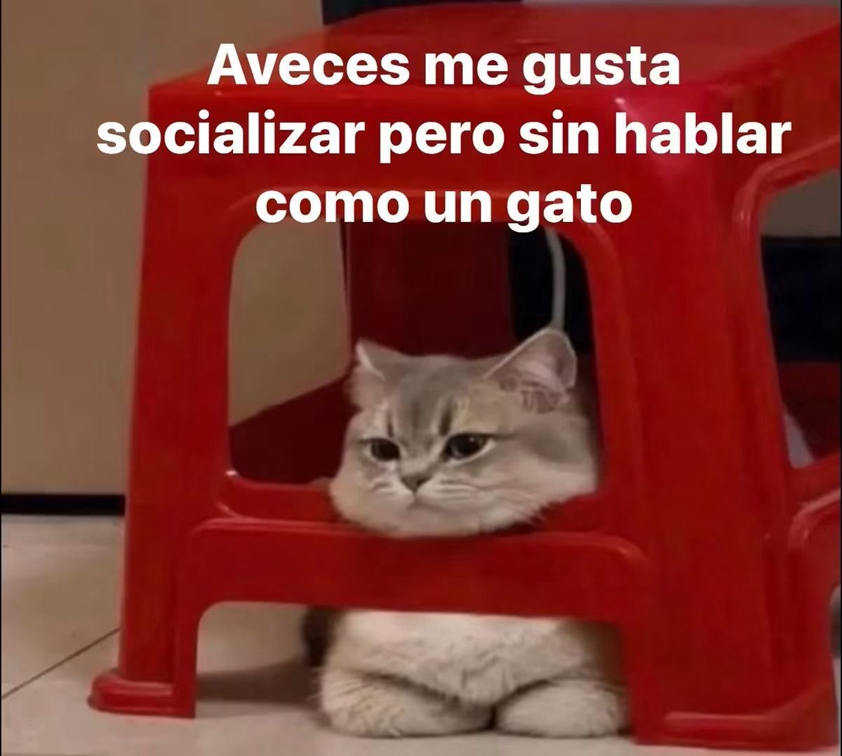 Mantequilla90's tweet photo. https://t.co/5Smc5WRaJZ