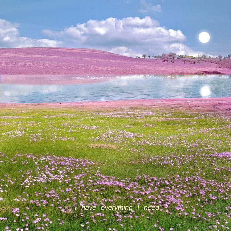 petalesblancs's tweet photo. fields covered in pink 🌸 https://t.co/xc7pGgq2dS