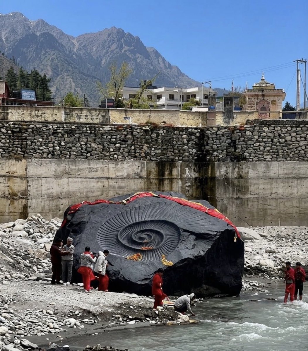 shashank_ssj's tweet photo. Over 17 crore year old Shaligram stone found in Muktinath, Nepal 🙏

This is World’s largest Shaligram weighing over 30 tonnes. https://t.co/mdkVipXGs1