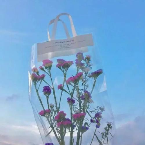 JoyceD24206's tweet photo. 🍬 🍂 🪐 🎌 Whimsical winds carrying seeds https://t.co/LWxSqPBbNU