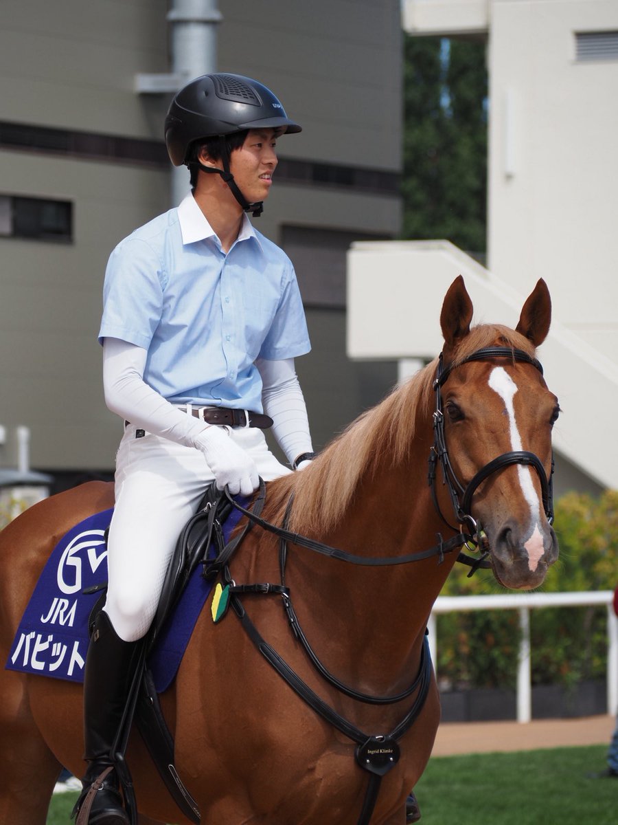chestnut_Fs's tweet photo. 今日はバビットのためだけに競馬場へー🔰
最後までお花食べてて、仲間に置いてかれそうになってた4枚目笑

#札幌競馬場
#バビット
#誘導馬 https://t.co/ueU9iloqsY