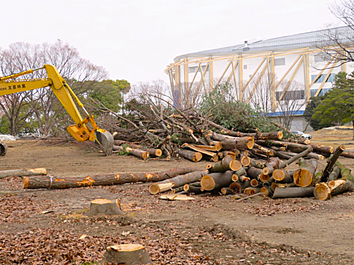 Mid_observatory's tweet photo. 【独自】隈研吾氏がデザインしたIGアリーナの建設のために、公園の1500本もの木を伐り、野鳥が住む森がなくなっていたことが、取材でわかりました。隈氏は「杜（もり）と一体化」するアリーナだと言ってますが、これでは「杜を破壊する」アリーナじゃないですか？
詳細→https://t.co/ZH4lz4UFs4 https://t.co/42dRloZexw