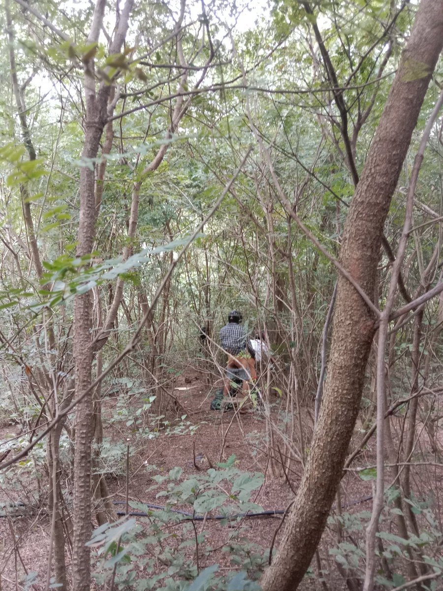 boy9x_haynung's tweet photo. 2 thằng bạn hẹn mình ra bú. Chưa kịp ra tới tụi nó nắc nhau rầm rầm. Giờ mình lại vạch cặc ra cho bot bú hay sao ta. 2 lổ 2 cây. Bot vậy là sướng nhất rồi
#outdoor #saigon #bucu #bj #gay #traithang #fun https://t.co/cPu73wZQcV
