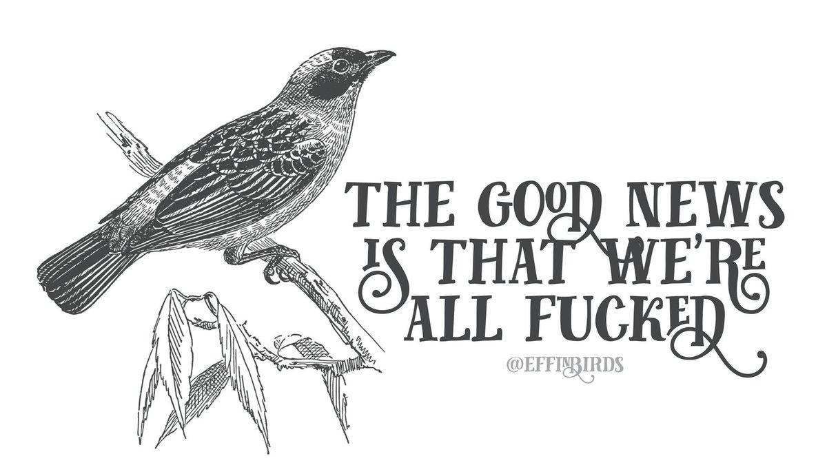 EffinBirds's tweet photo. https://t.co/a9CUMselh1