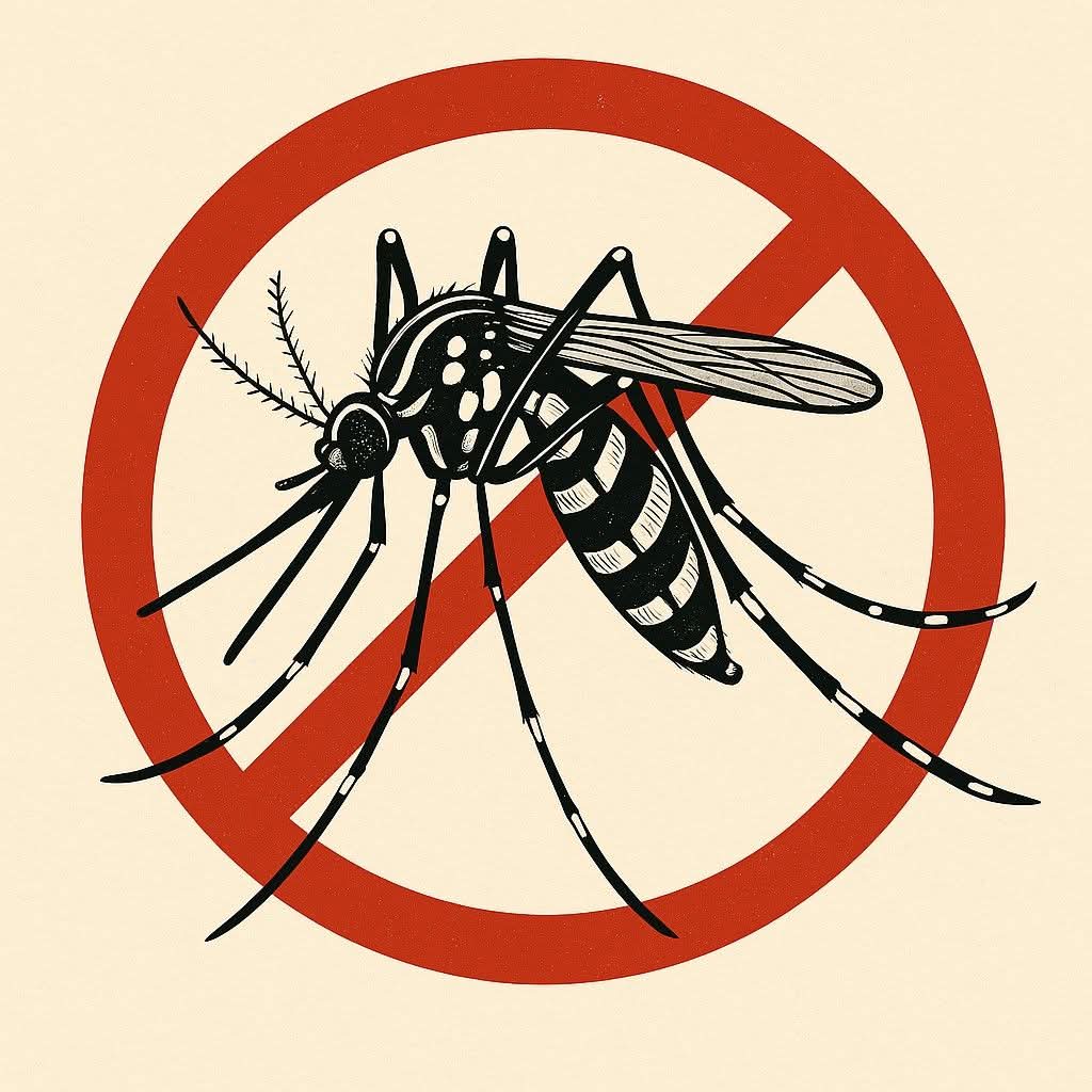 SaludGuantanamo's tweet photo. 🦟🚫Prosiguen diariamente en #Guantánamo las acciones comunitarias educativas y de promoción y prevención de salud, con enfoque especial en la lucha #antivectorial, contra el mosquito #AedesAegypti y el #dengue. Las acciones llegan a las áreas consideradas de riesgo. https://t.co/VSVzxHFQqQ