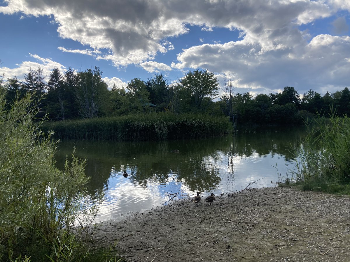 msbjacobs's tweet photo. #educatorsONtherun #RWRunStreak Day 2466 A relaxed 3 miles (5 km) run on a lovely afternoon. #RunEveryDay https://t.co/J7ezoQgwVO