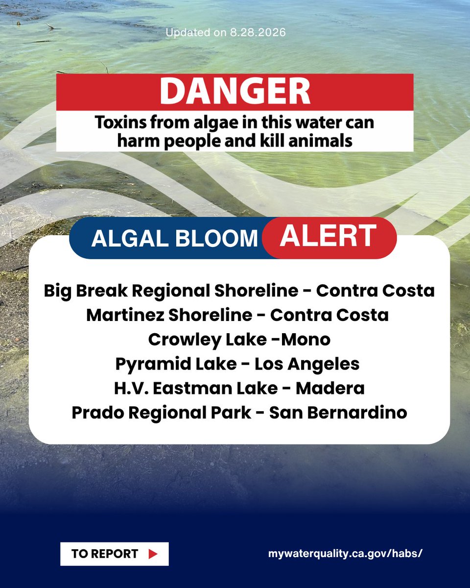 CaWaterBoards's tweet photo. 🌊 Weekend Algal Bloom Alerts🌊 

Check our HABs Report Map to stay updated on freshwater, estuarine, and marine environments. 

https://t.co/LVlRaRcorW 

#california #algalbloom https://t.co/7Exqq4yXb0