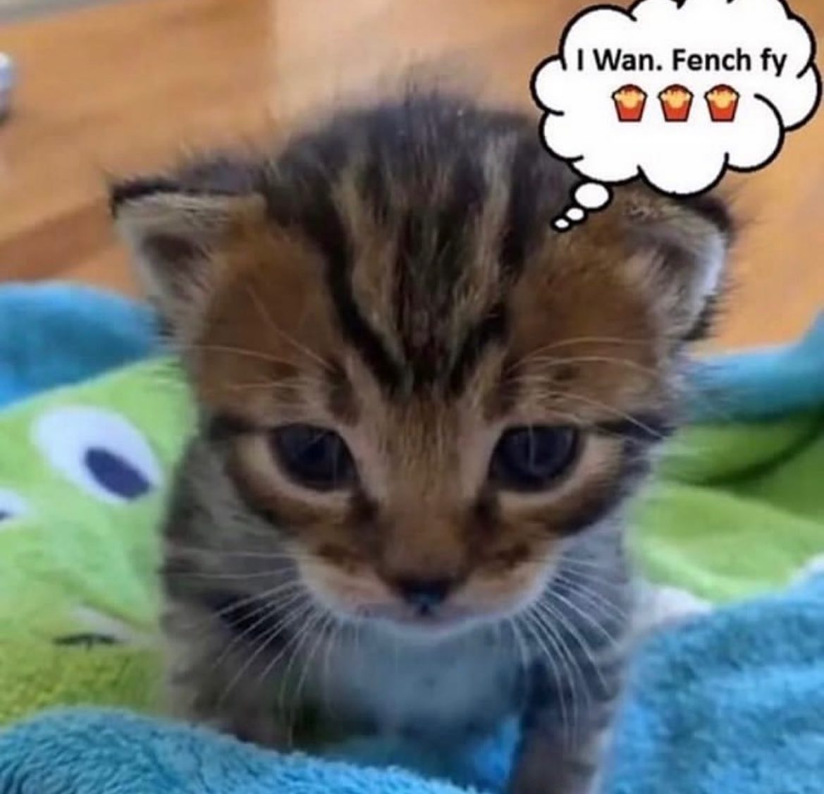 PunchingCat's tweet photo. https://t.co/xR7PNAgNTl