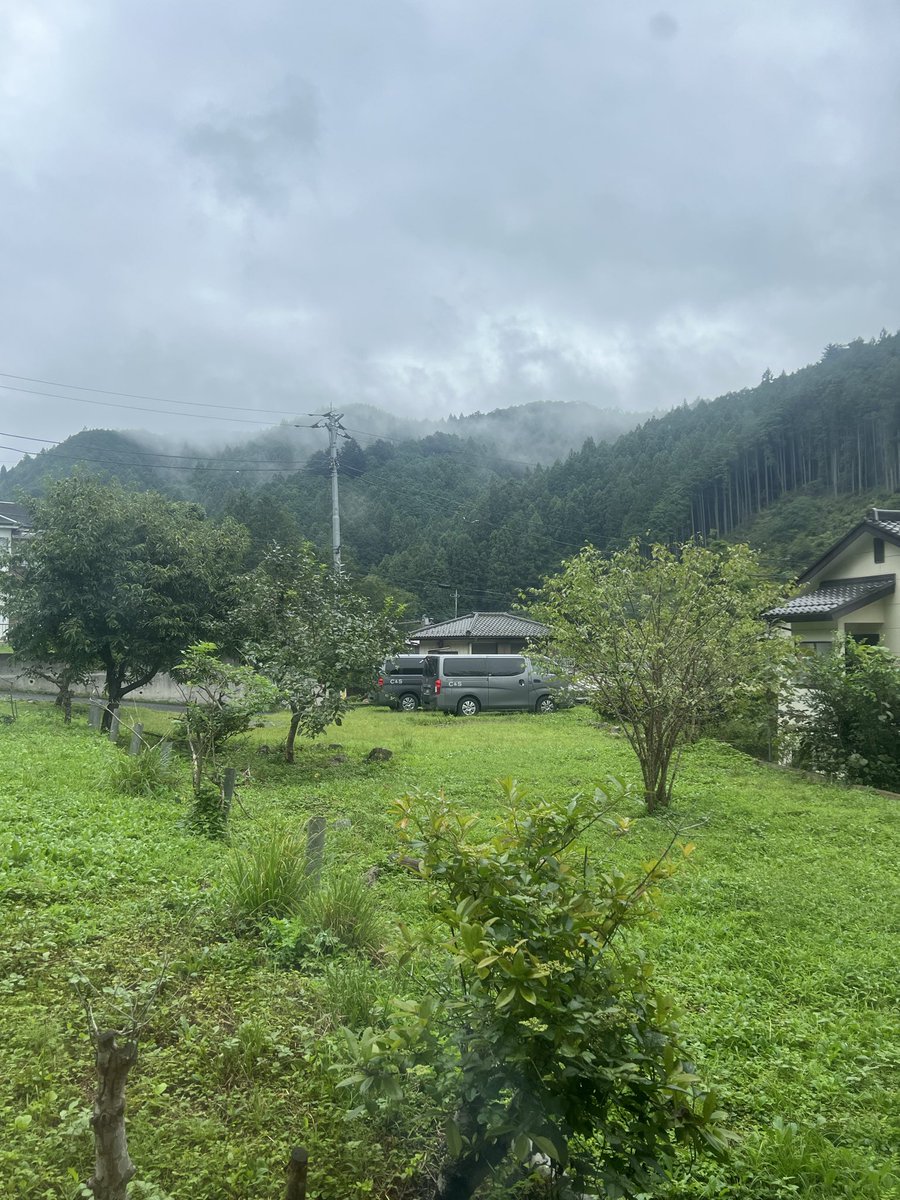 angas8739's tweet photo. 今朝の秘密基地
気温21度冷んやり涼しい
飯能の山の中からお伝え致しました。
猫達も過ごしやすいと言ってます
ウニャウニャニャーと鳴いてました。 https://t.co/ERy3mNHEO0