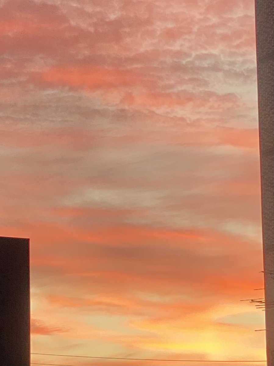 migasolineki's tweet photo. 空の上からおはようございます！
今回の旅の難所クリアしたから、あとは楽しむだけだ！！
いってきまーす！ https://t.co/yo0v66K1t0