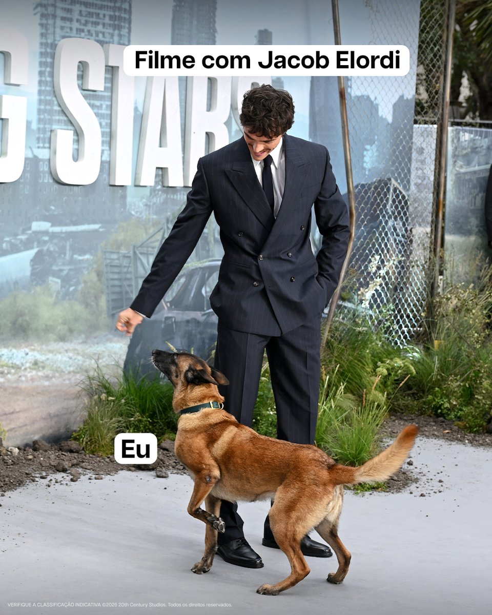 20thcenturyBR's tweet photo. Um doguinho nunca nos representou tanto. 🥰

#PontoSemRetorno, hoje nos cinemas. https://t.co/l1slUhawzO