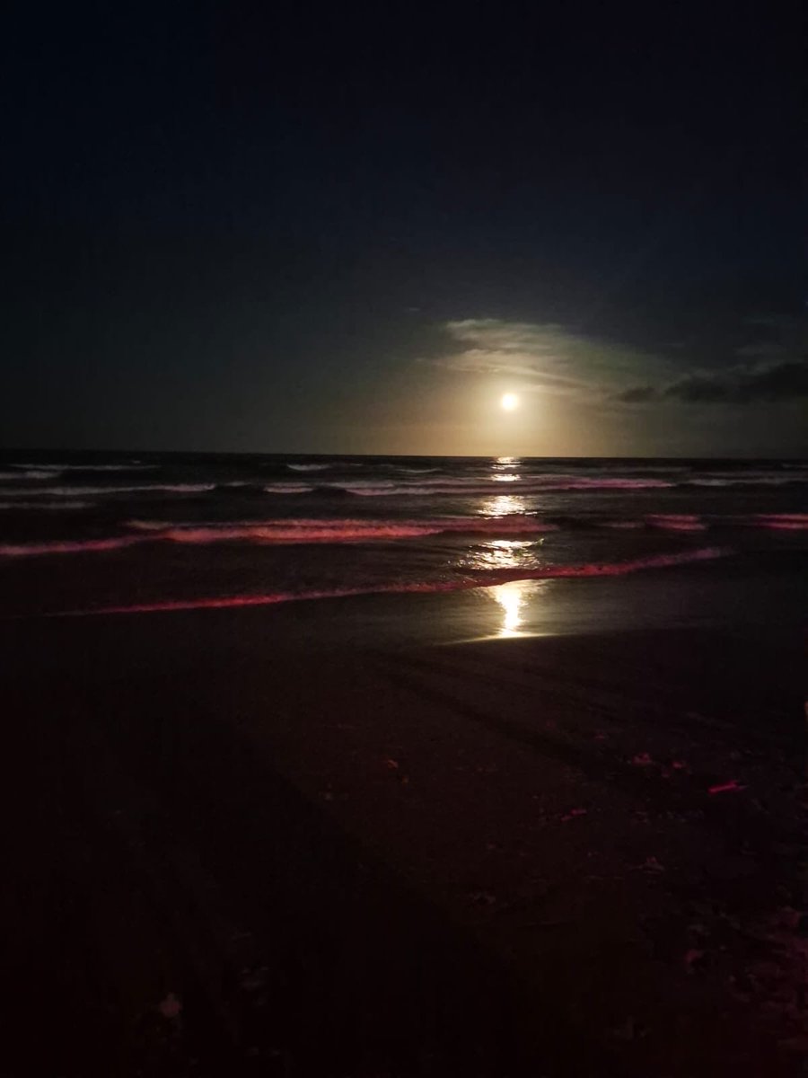 escovargabriela's tweet photo. Foto de mi amiga  Marilu  playa Guacuco, Margarita. 7:16 pm. https://t.co/hOrENoGL9n