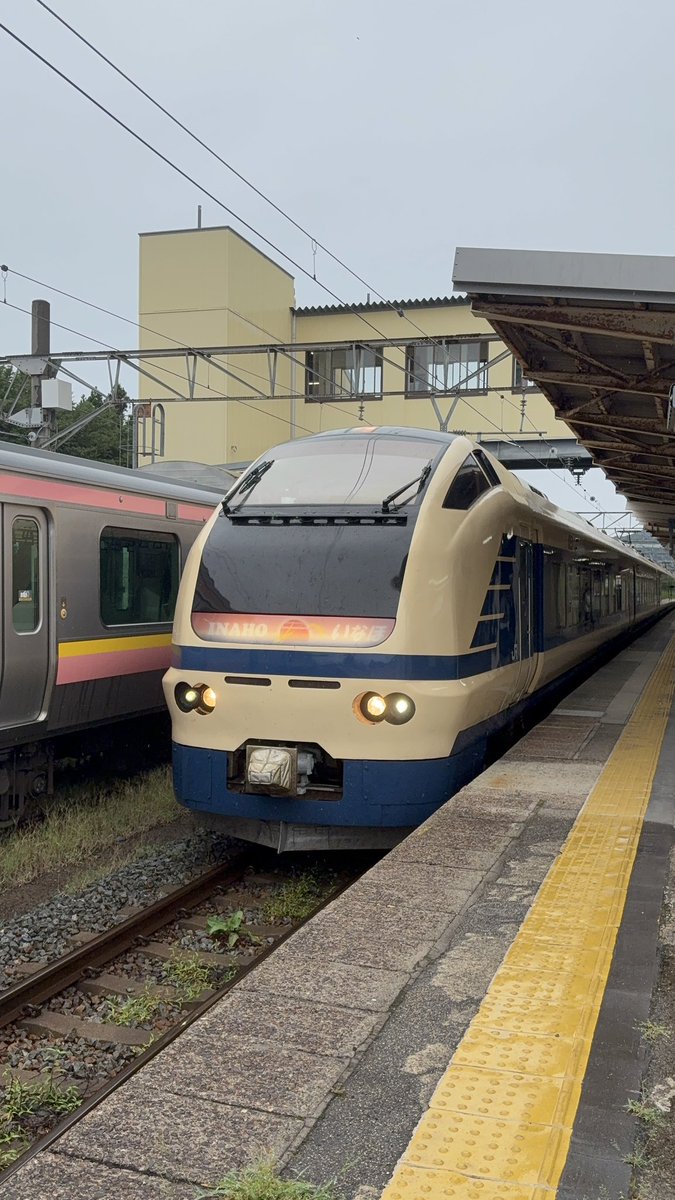 thsc481_3026's tweet photo. いなほ4号新潟行き E653系U-101編成

今回の旅でもう一つ楽しみにしていた、先月より登場した、国鉄型車両(583系)復刻塗装編成です。公式から運用が公開されているので狙い打ちしやすいのも有り難かったですね https://t.co/t5MNjNrS56