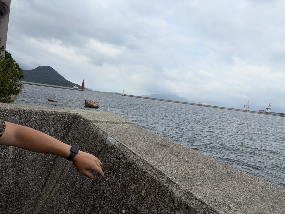 o92427's tweet photo. 朝早く広島市内に来たので、予定の時間まではランニング。初めての元宇品。フラットで走りやすい。

途中に通行止めがあり周回できないのが残念🏃‍♂️

#ランニング
#広島
#宇品 https://t.co/EONVN5Lqdg