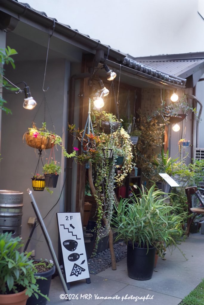 DeepshotDownTL's tweet photo. .
Saturday
..the little light
leading me home. ✧
.
#木漏れ日 #スナップ写真 #ムクゲ
#お写歩 #photography #無加工
#shopDownTheCorner #木槿
#chasingLight
.
おはようございます☕︎
素敵な週末になりますように𖥧𓂃 𓈒𓏸❁⃘
. https://t.co/y5xQcjSZ8S
