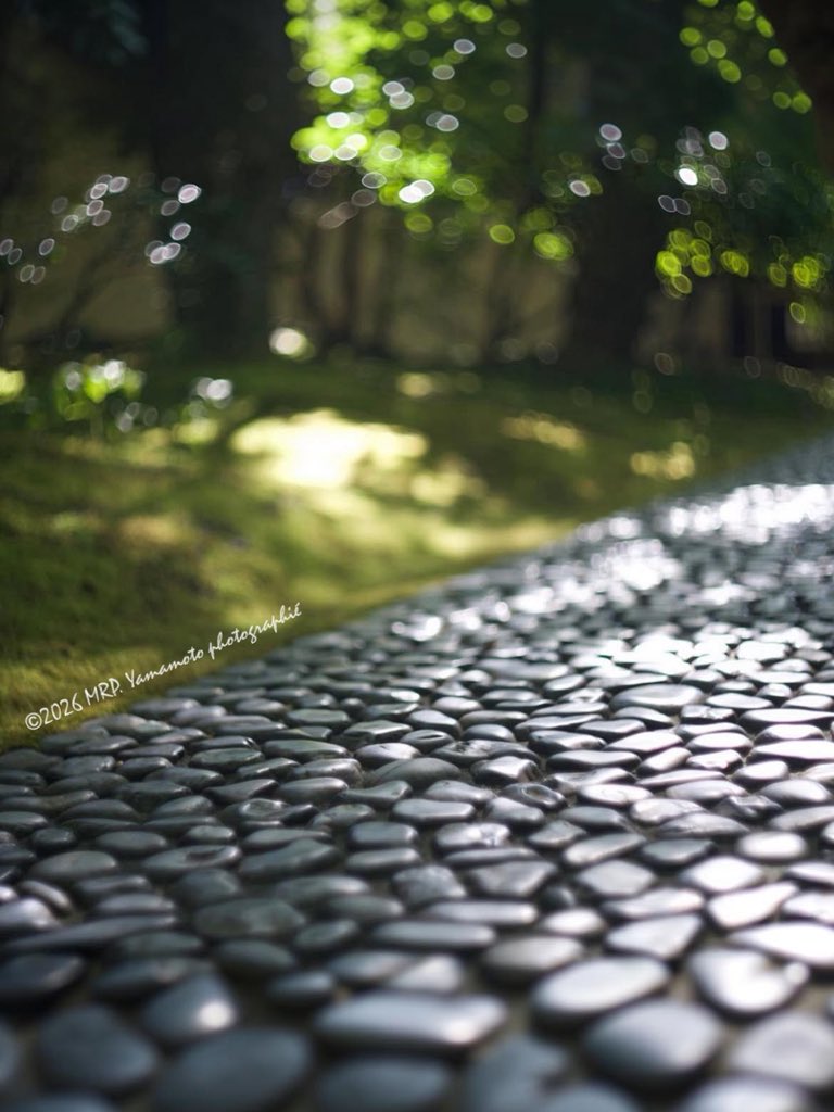 DeepshotDownTL's tweet photo. .
Saturday
..the little light
leading me home. ✧
.
#木漏れ日 #スナップ写真 #ムクゲ
#お写歩 #photography #無加工
#shopDownTheCorner #木槿
#chasingLight
.
おはようございます☕︎
素敵な週末になりますように𖥧𓂃 𓈒𓏸❁⃘
. https://t.co/y5xQcjSZ8S