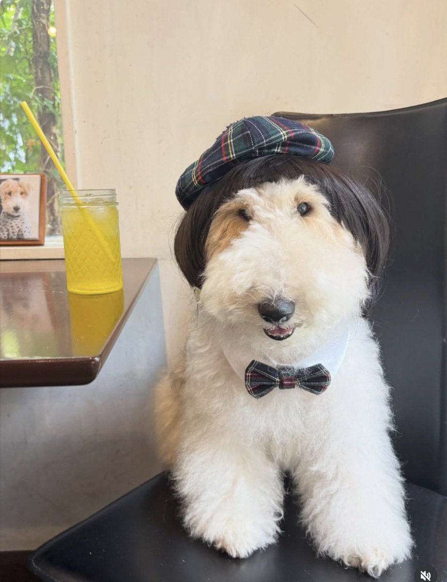 Highercalling0X's tweet photo. @HopiumPapi @HopiumPapi Tap in $BenBen bottom shill! Huge narrative 
@a1lon9 bought .87% = $94.7 of $BenBen #dogwifhat and he’s HODLING 
PVE opportunity

https://t.co/hIA2THAv5U

2HXK4CBcYeJQezA1MxNgSCHgXDx3kYgpe4ivk1hZpump https://t.co/HYeyg4RIkD