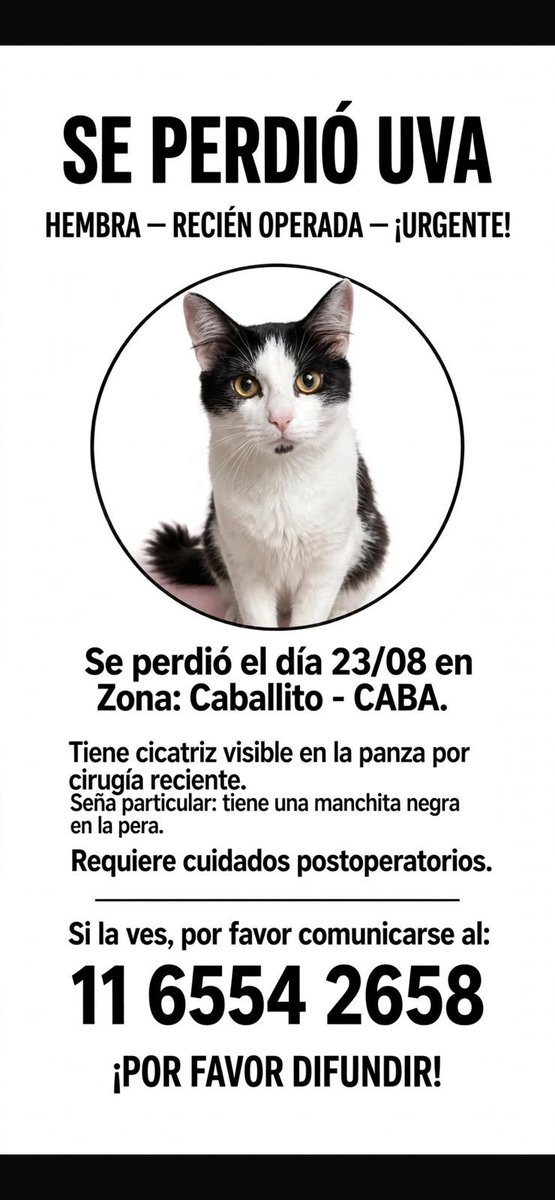 patripeyrou's tweet photo. Rt 
Recompensa https://t.co/8gFMEbjWQ1