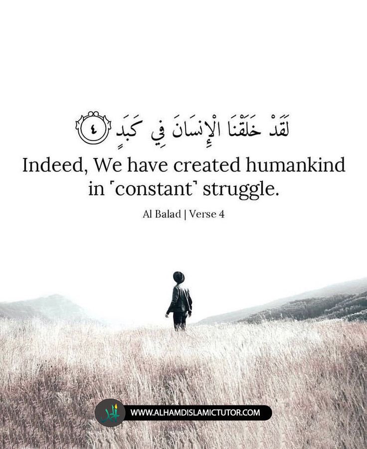 Esa13681's tweet photo. @Galactusor @ppleinthedark Why are we created? Who we didn’t sign for this… what’s this purpose of this life? Read the Quran with an open mind if you are looking for the truth and our purpose in this short life.  Quran claims to be the words from the creator and it hasn’t been changed. https://t.co/IgWyoB4DOA