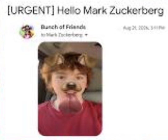 bunchofburgers's tweet photo. https://t.co/dTEZPVgHxV