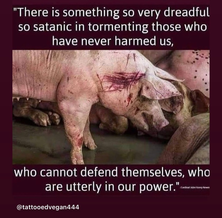 veganfuture's tweet photo. https://t.co/Trmuk0oskm