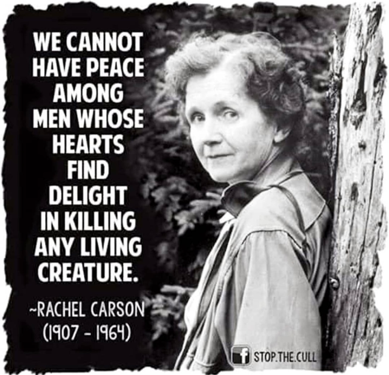 veganfuture's tweet photo. https://t.co/v5HsCJfOJU