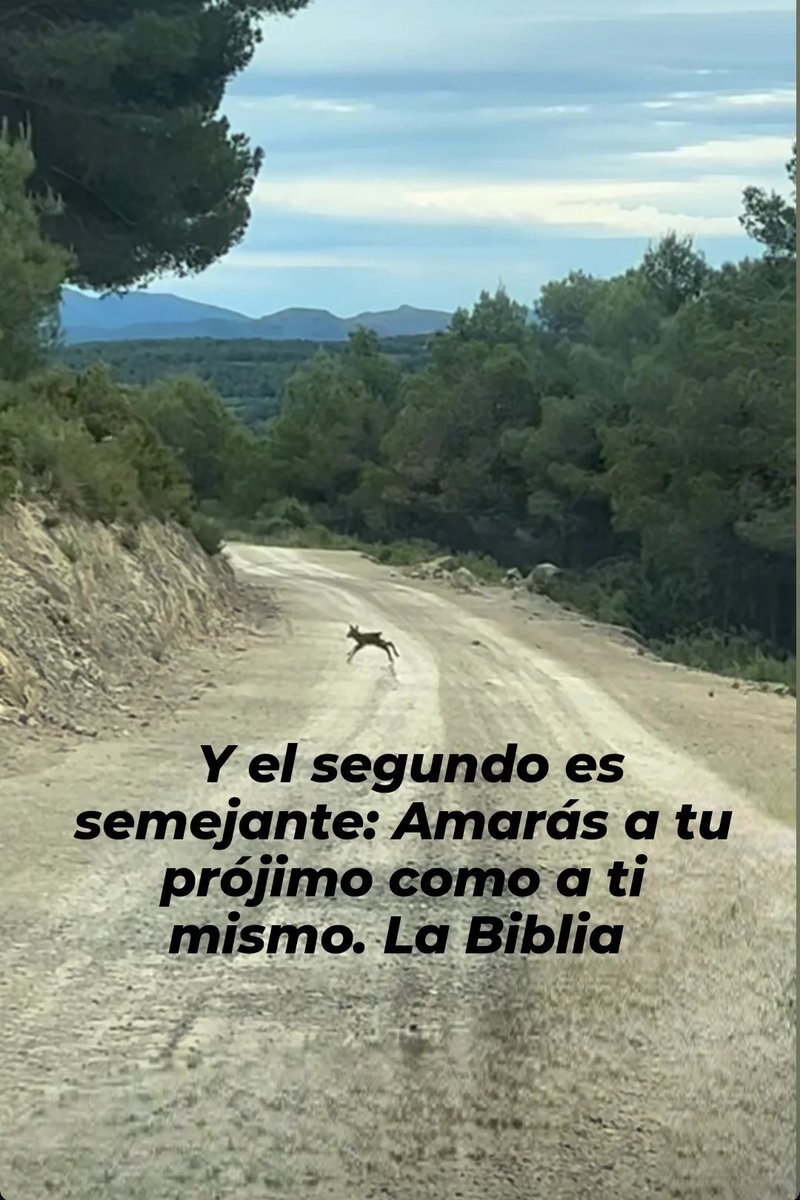 German12Alfonso's tweet photo. https://t.co/7q7t7vOMGR