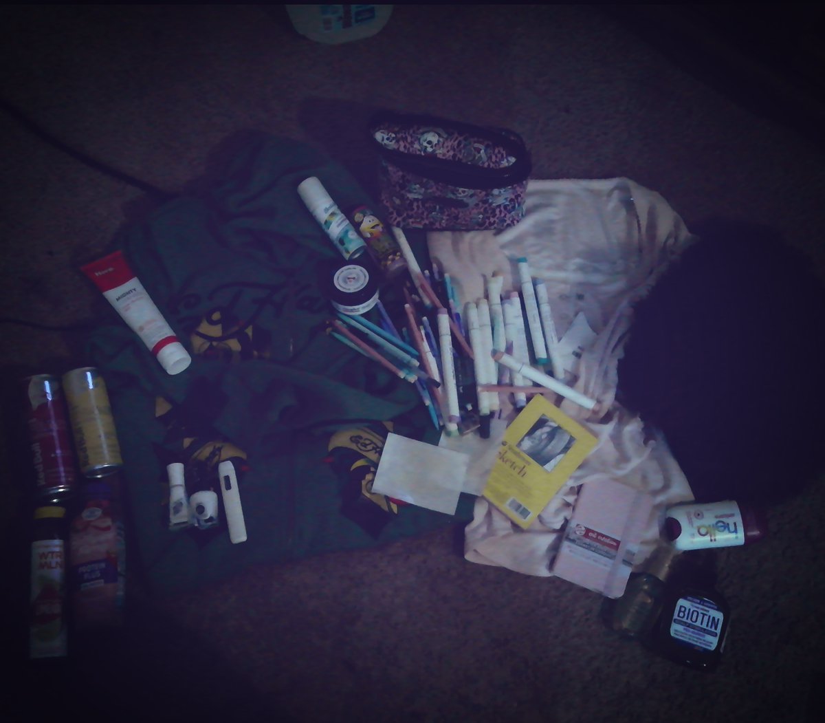 weallhatevi's tweet photo. big haul tdy
u probs cant see bc i took this pic on my fucking chungus digicam but that big black thing is a pair of fur boots
#kleptotwt
#borrowtwt https://t.co/q8qyWZK0wM