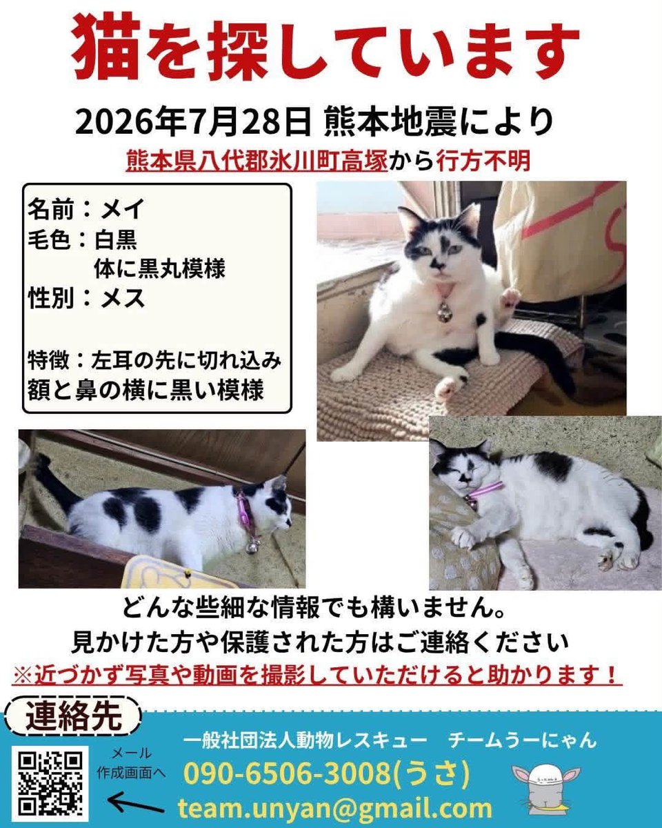 ____Usa's tweet photo. 【活動報告】

昨日夜、チームうーにゃんのメンバー2名が、熊本に来てくれました。
3人で動けば、役割分担もでき、時間を有効に使うことができて嬉しいです。

地震が起きてから1ヵ月、新たな捜索依頼が6件届きました。　
そして、今まで姿を表さなかった子が姿を現し始めました。

全ての動物たちを保護して、家族の元へ早く帰してあげたいです。

熊本は夕方の空がとてもきれいです

#熊本地震
#アニマルレスキュー
#ペット捜索