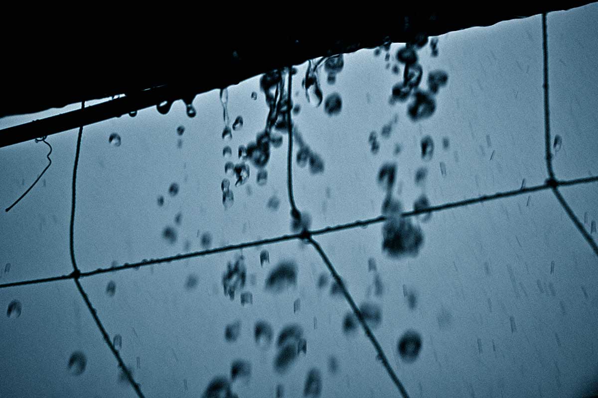 Lightblurphoto's tweet photo. 「土砂降り」
#cinematicphotography #moodygrams  #filmic #bokehlicious #キリトリセカイ https://t.co/DUJhxcSY1u