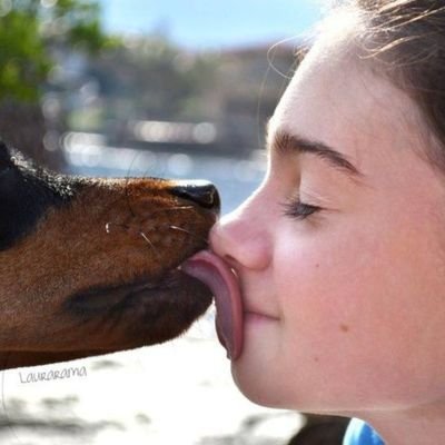RoseSmith370's tweet photo. #NewProfilePic https://t.co/7USmcxwodr