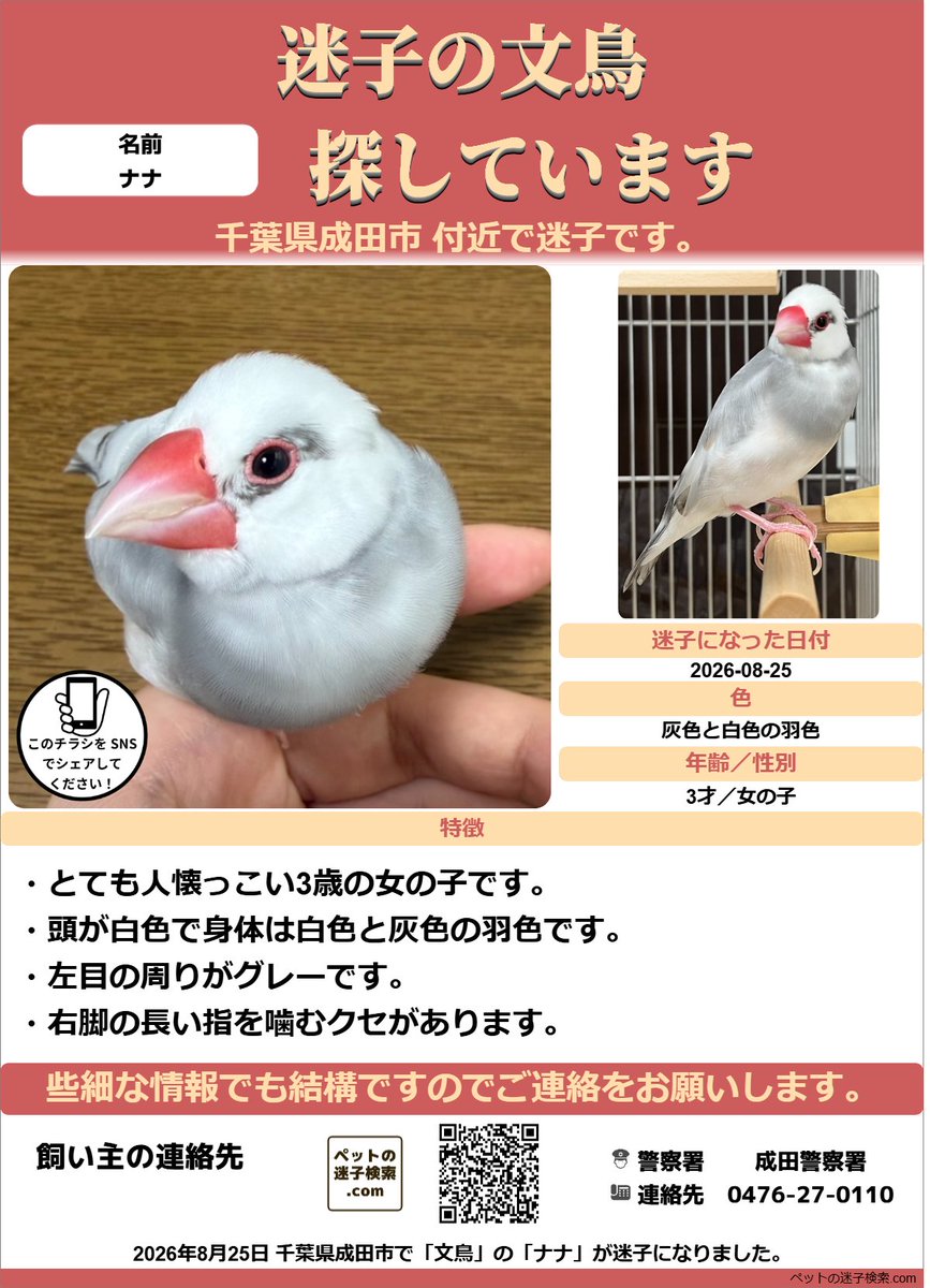maigokensaku's tweet photo. 以下内容をSNSで拡散させていただきました。
https://t.co/EC0hdavReO

勝手ではございますがチラシを作成させていただきました。
↓こちらのような感じでチラシを利用していただくと有効かと思います。
https://t.co/mZZtLX2eV1

#迷子 #鳥 #迷い鳥 #迷いインコ #千葉県 #文鳥 https://t.co/C5pkDcfdGx