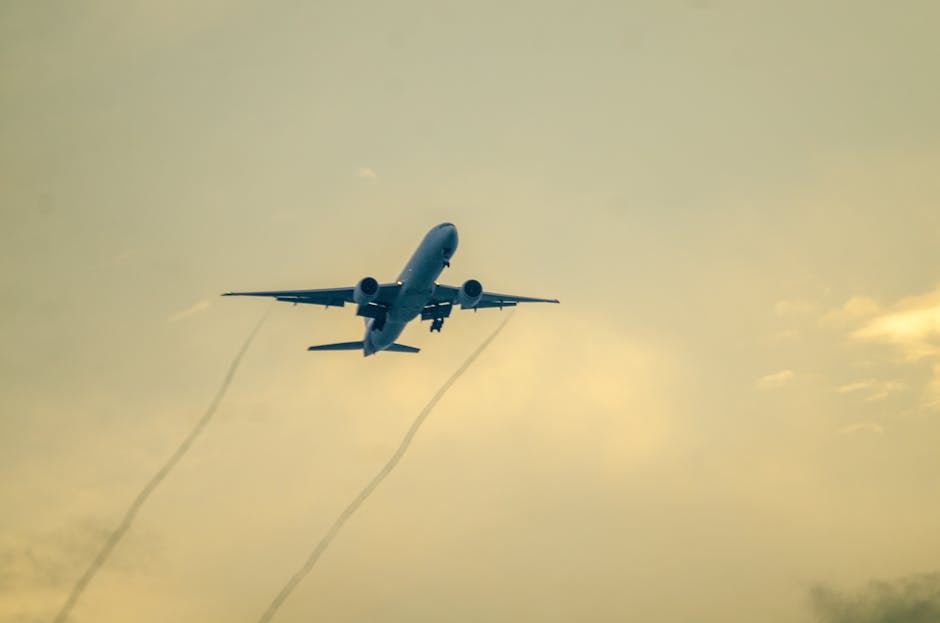 dusting_4yv's tweet photo. treatment This is where begins, and real relaxation feel every muscle jonathan shami◼️ https://t.co/LsB1JkGPN5