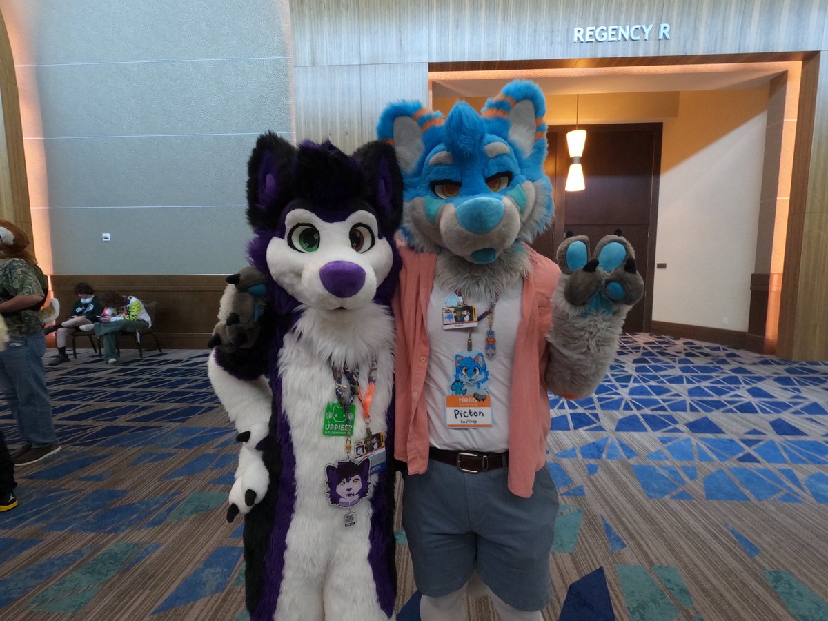 VincentOblivion's tweet photo. #FursuitFriday  me with my suit sibling @Picton_Wolf , he is 100% normal, I swear. 

🪡 @WildDogWorks https://t.co/cJYoVG7GSu