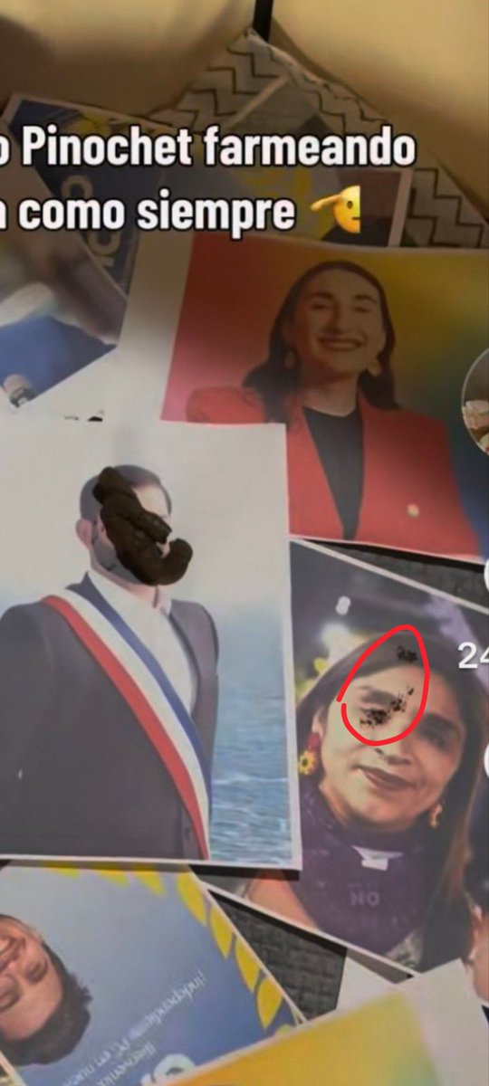 lasupremona's tweet photo. @deskiciiada Se dió el tiempo de sacar el mojón de ahí y ponerlo en la foto del boric https://t.co/VVOgdcyinr