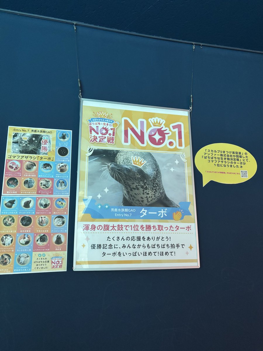 noritama_miso's tweet photo. が、ｶﾞｵくん？！？！？ https://t.co/FiLw6bqMgo