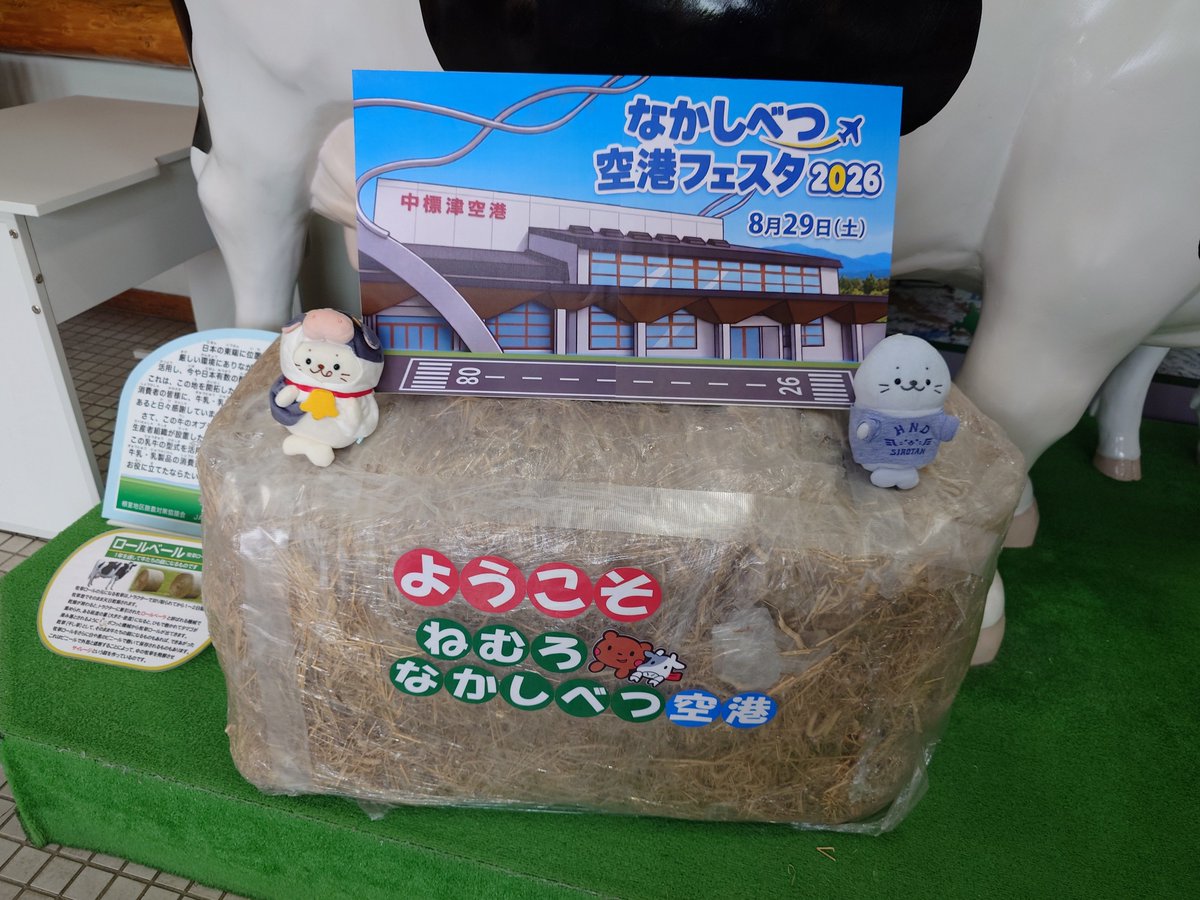yukidaruma_117's tweet photo. こんにちは、中標津空港🐮🐄🦭😄 #おでかけしろたん #しろたん #SHB #うしたん https://t.co/BGyzZSewGI