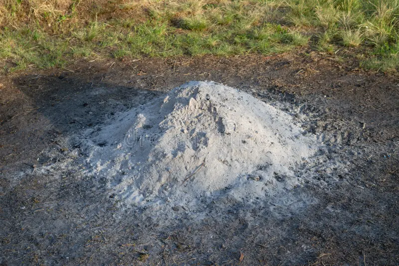 JyCrtwrghtNat's tweet photo. Found a pic of your nan https://t.co/diwafVoA1p