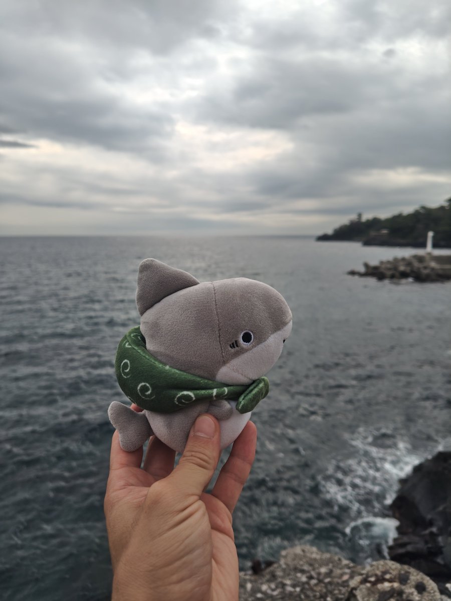 kanawata0217's tweet photo. 今日はここで遊んできます
#おでかけ子ザメ 
#子ザメとまいにち https://t.co/oCTxOIHhQH