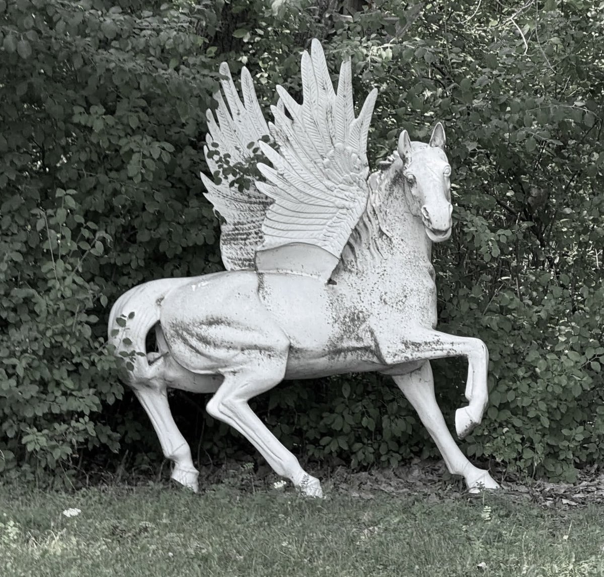 genuslepus's tweet photo. statues i saw the other day https://t.co/DJwW33TV4e