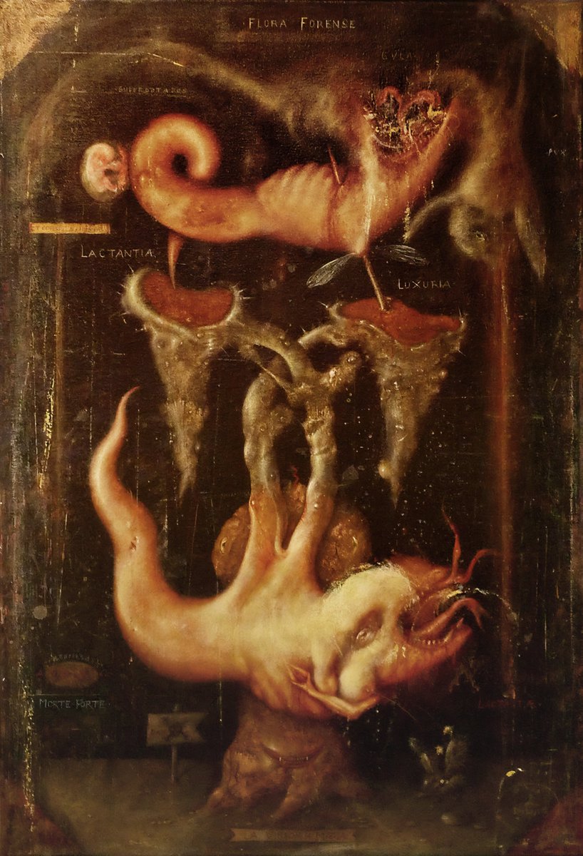 RJCrowtherJr's tweet photo. 👁 Argentine painter Marcelo Bordese's astonishing body horror fuses fairy tales, mythology and Catholic iconography into a menagerie worthy of Hieronymus Bosch. https://t.co/p4XclZEmI0