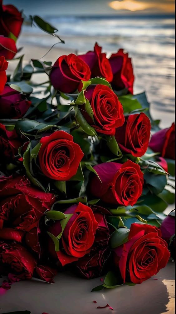 Opshori148's tweet photo. Good Morning..... ❤️❤️ https://t.co/jSh3981ezf