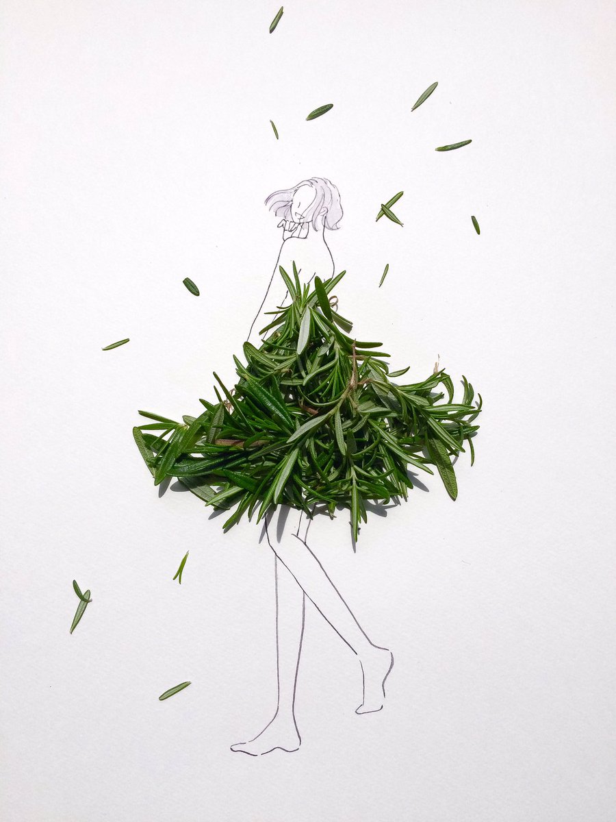 hanacotoba_jp's tweet photo. きょう9月20日は
バスの日
空の日
お手玉の日
相続・贈与の日
子どもの成長啓発デー
国産ロケット初打ち上げの日

誕生花はローズマリー
花言葉「思い出」「わたしを蘇らせる」 https://t.co/57J800KOer